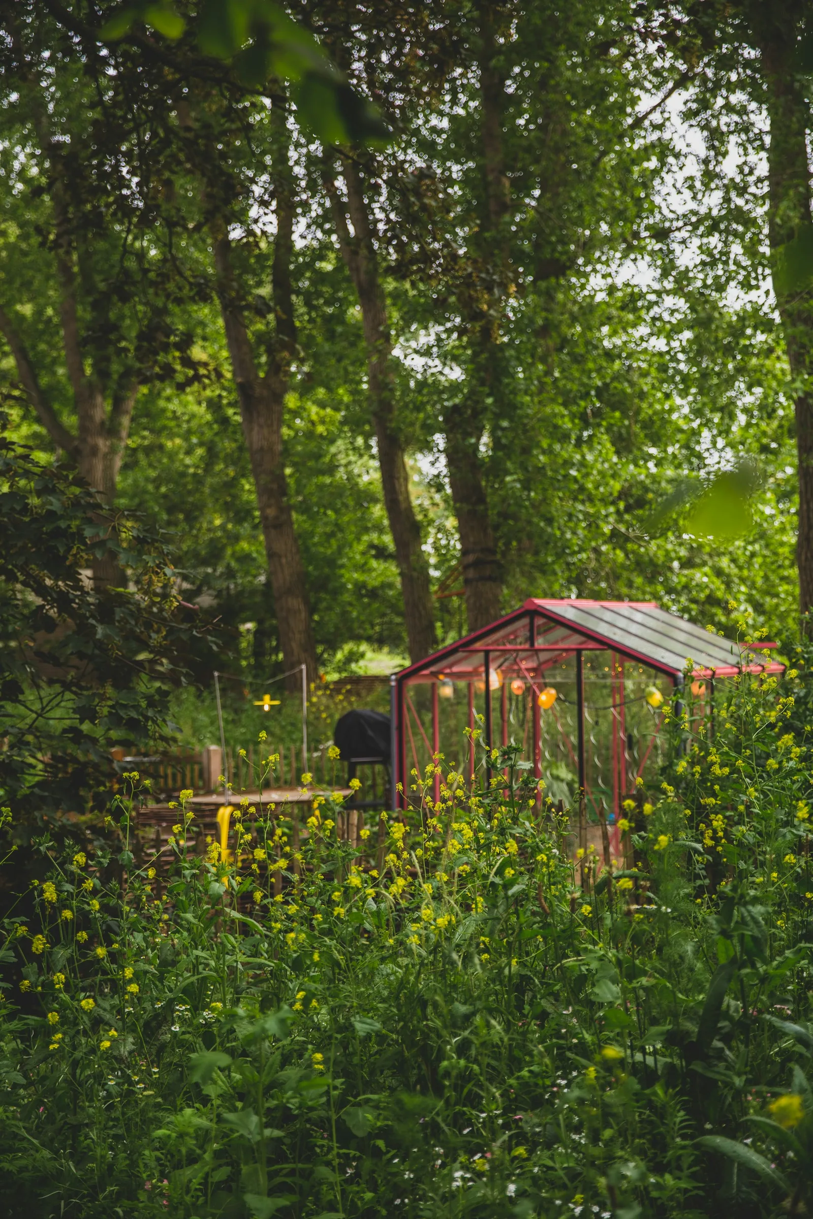 A greenhouse surrounded by trees
